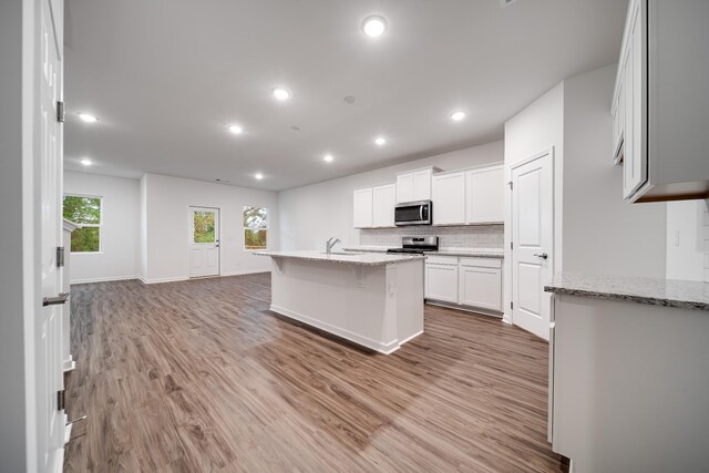 312 Deacon Ln, White House, TN 37188 - photo 9