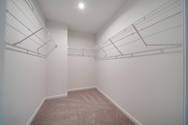 312 Deacon Ln, White House, TN 37188 - photo 34