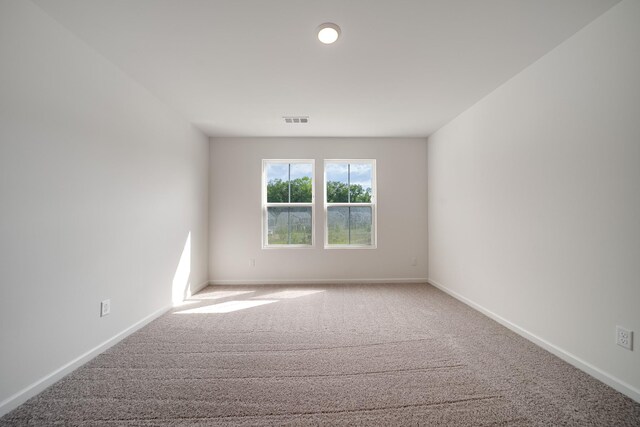 312 Deacon Ln, White House, TN 37188 - photo 38