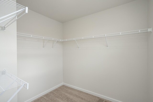 528 Medwyk Dr, Lebanon, TN 37090 - photo 10