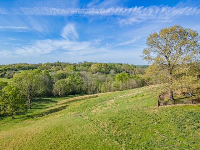 3092 Morel Rd, Columbia, TN 38401 - view of yard with a rural view and a view of trees