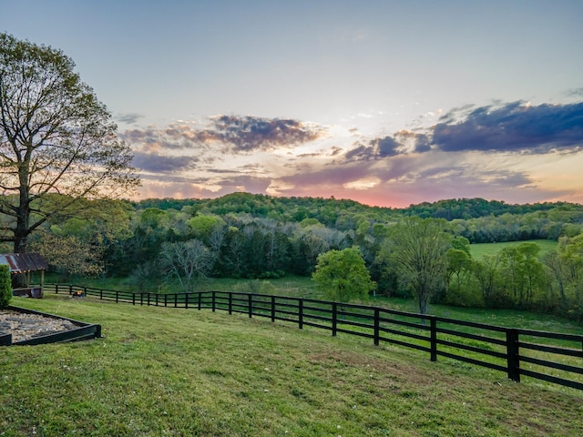 3092 Morel Rd, Columbia, TN 38401 - yard at dusk with a rural view