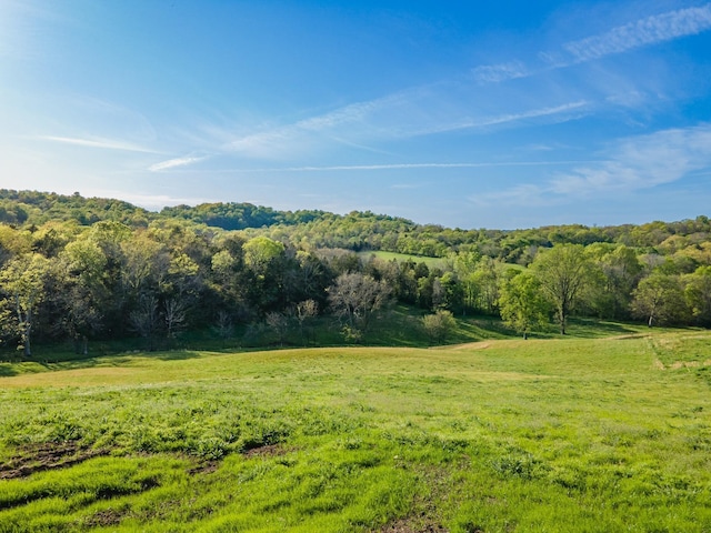 3092 Morel Rd, Columbia, TN 38401 - view of grassy yard with a rural view and a forest view