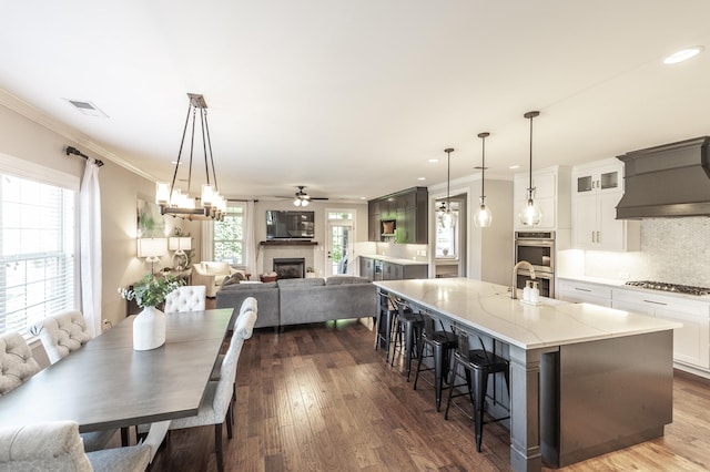 1328 Reynard Dr, Gallatin, TN 37066 - kitchen featuring custom exhaust hood, appliances with stainless steel finishes, a glass covered fireplace, a ceiling fan, and light stone counters