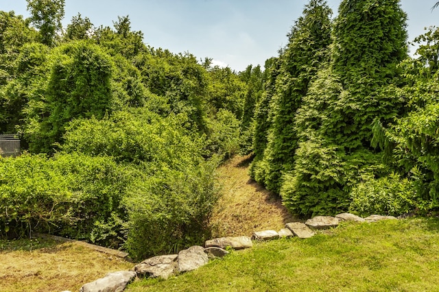1328 Reynard Dr, Gallatin, TN 37066 - view of yard
