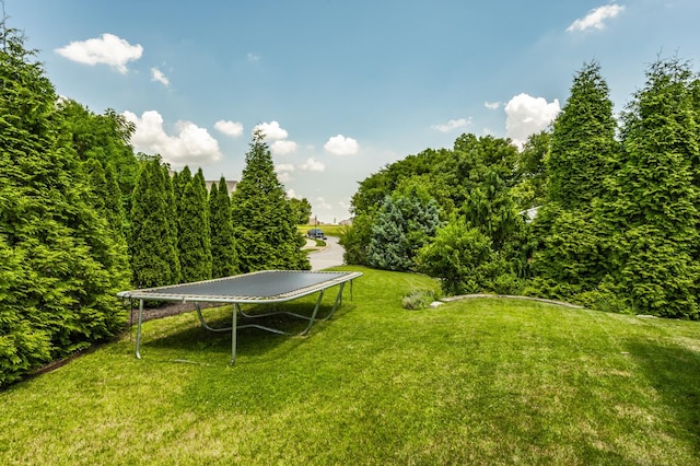 1328 Reynard Dr, Gallatin, TN 37066 - view of grassy yard