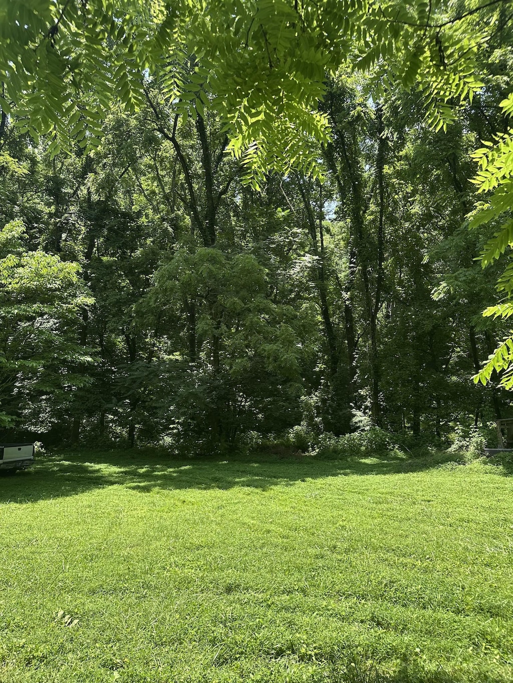 220 Hurt Rd, Hendersonville, TN 37075 - photo 2