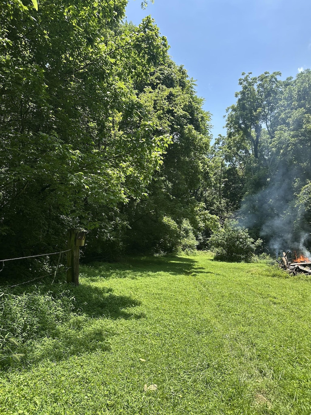 220 Hurt Rd, Hendersonville, TN 37075 - photo 4