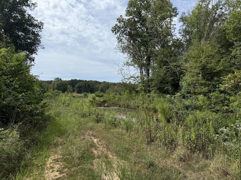 0 Stones Rd, Camden, TN 38320