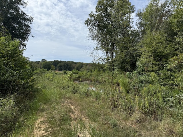 0 Stones Rd, Camden, TN 38320