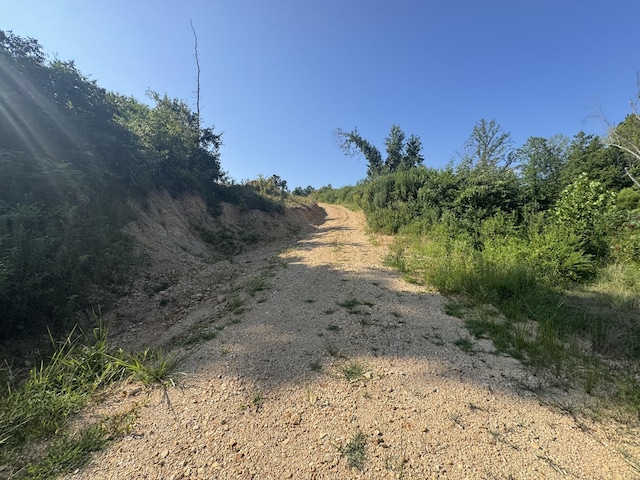 0 Stones Rd, Camden, TN 38320 - photo 4