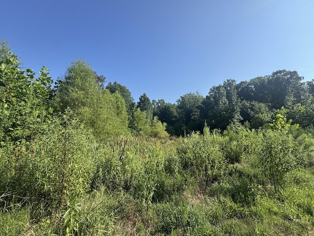0 Stones Rd, Camden, TN 38320 - photo 3