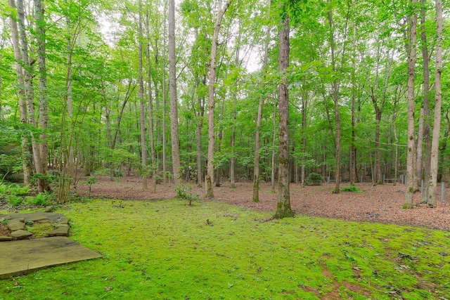 238 Wiggins Creek Dr, Sewanee, TN 37375 - view of yard featuring a forest view
