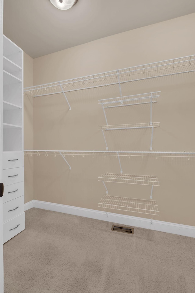 163 Tara Ln, Goodlettsville, TN 37072 - photo 21