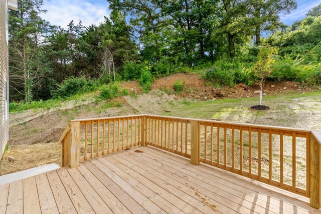 4721 Long Br, Antioch, TN 37013 - photo 28