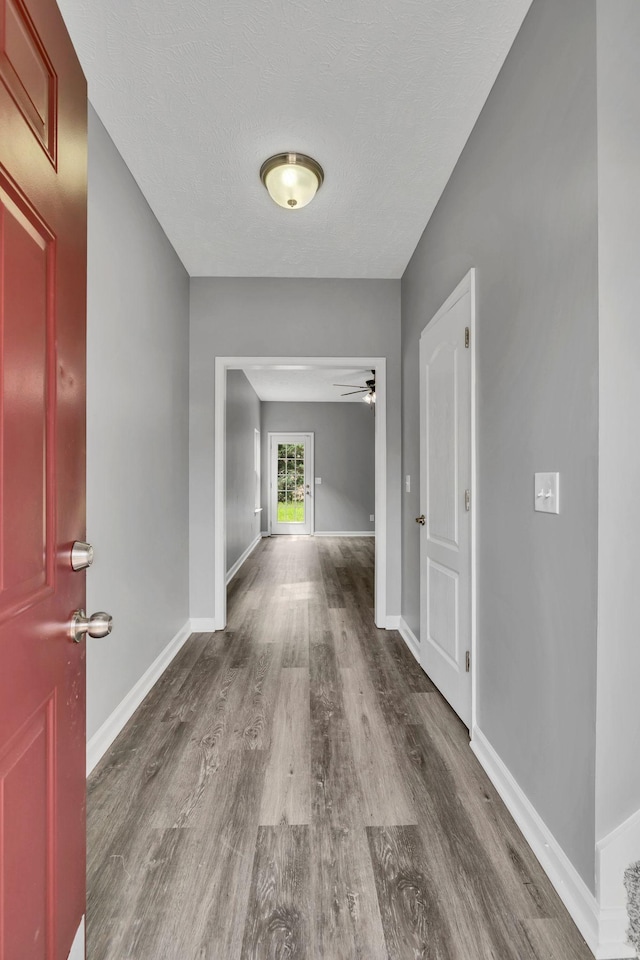 286 Meigs Dr, Murfreesboro, TN 37128 - photo 8