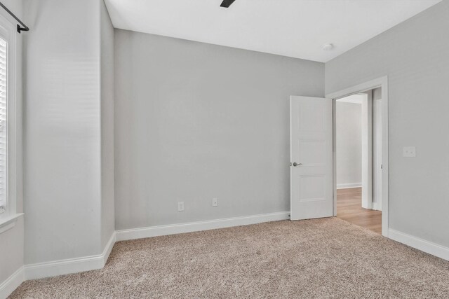 423 Beulah Rose Dr, Murfreesboro, TN 37128 - photo 22