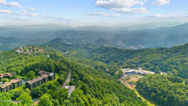 1380 Ski View Dr Unit 2103, Gatlinburg, TN 37738