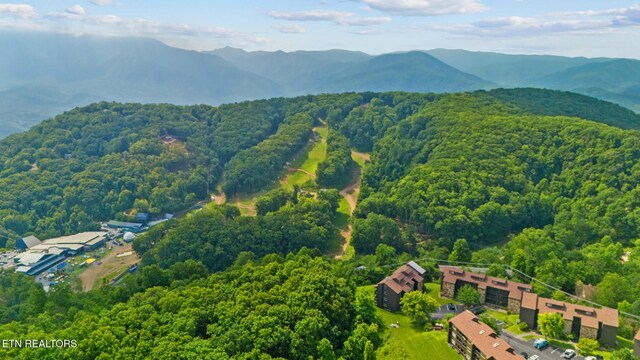 1380 Ski View Dr Unit 2103, Gatlinburg, TN 37738