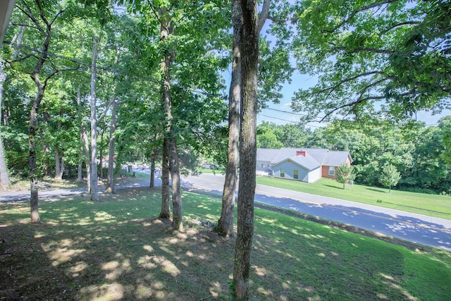 532 Moncrief Ave, Goodlettsville, TN 37072 - photo 8