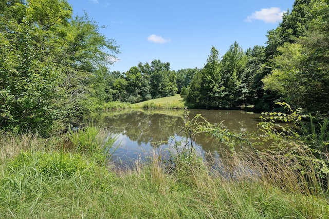 2700 Canoe Branch Rd, Lebanon, TN 37087 - photo 40