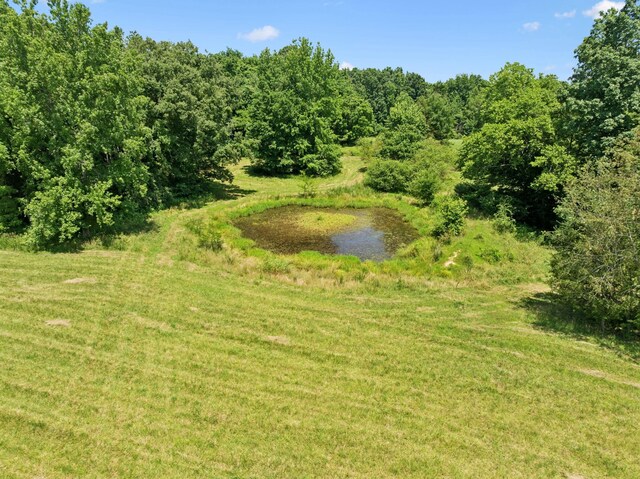 2700 Canoe Branch Rd, Lebanon, TN 37087 - photo 30