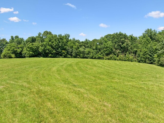 2700 Canoe Branch Rd, Lebanon, TN 37087 - photo 35