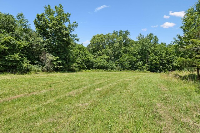 2700 Canoe Branch Rd, Lebanon, TN 37087 - photo 39