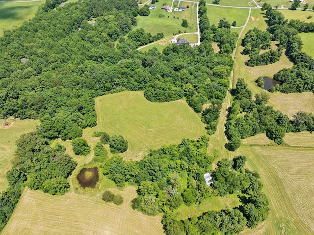 2700 Canoe Branch Rd, Lebanon, TN 37087 - photo 6