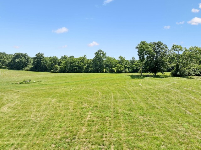2700 Canoe Branch Rd, Lebanon, TN 37087 - photo 5