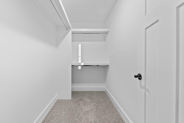 17 Peyton Pl, Columbia, TN 38401 - spacious closet featuring carpet