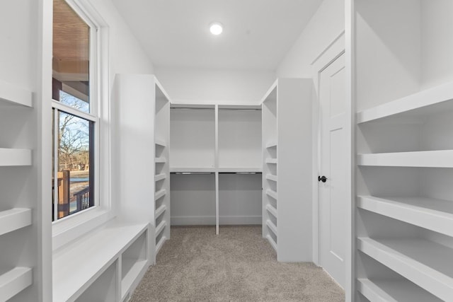 17 Peyton Pl, Columbia, TN 38401 - spacious closet with carpet
