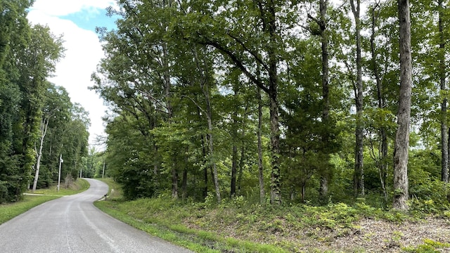 0 Pugh Rd, Holladay, TN 38341