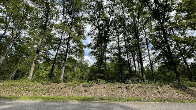 0 Pugh Rd, Holladay, TN 38341