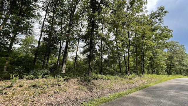 0 Pugh Rd, Holladay, TN 38341