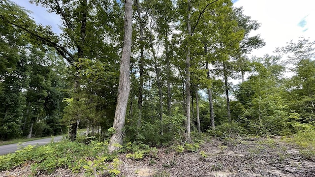 0 Pugh Rd, Holladay, TN 38341