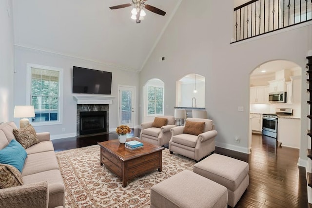 1210 Black Rd, Cunningham, TN 37052 - living room with high vaulted ceiling, ceiling fan, healthy amount of natural light, and hardwood / wood-style flooring