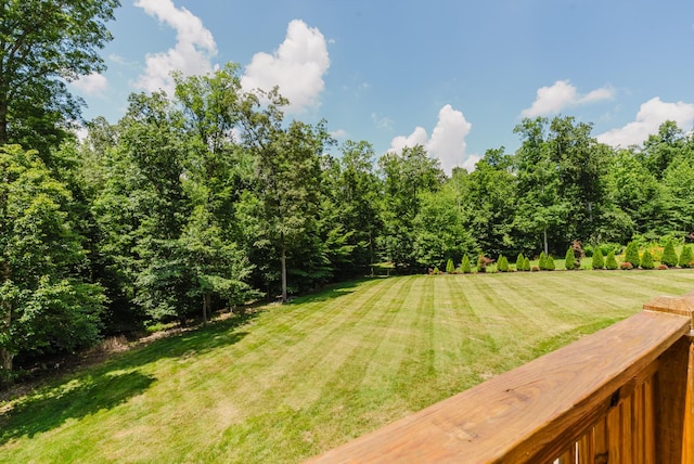 1210 Black Rd, Cunningham, TN 37052 - view of grassy yard