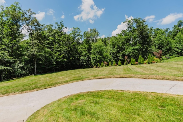 1210 Black Rd, Cunningham, TN 37052 - view of green lawn