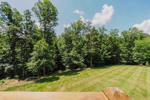 1210 Black Rd, Cunningham, TN 37052 - view of green lawn