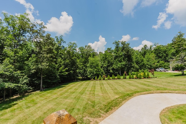 1210 Black Rd, Cunningham, TN 37052 - view of green lawn