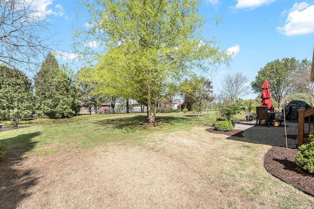 939 Central Valley Rd, Murfreesboro, TN 37129 - view of green lawn featuring a patio