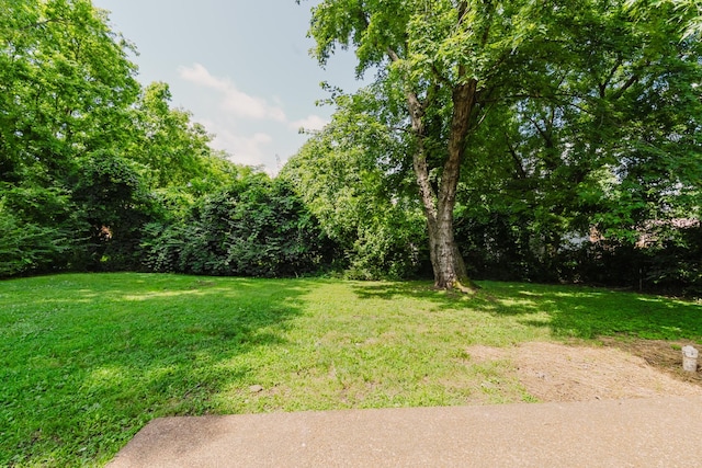 3827 Boatner Dr, Nashville, TN 37207 - photo 14