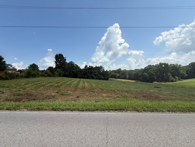 4015 Trough Springs Rd, Adams, TN 37010 - view of asphalt street featuring a rural view