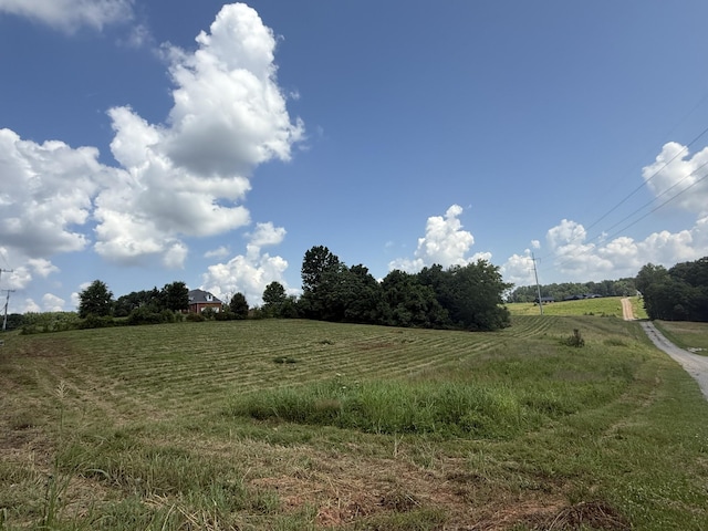 4015 Trough Springs Rd, Adams, TN 37010 - view of undeveloped land with rural landscape