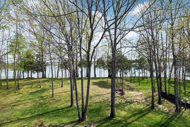 1499 Boardwalk Pl, Gallatin, TN 37066 - photo 83