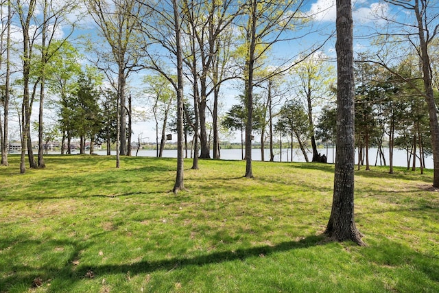 1499 Boardwalk Pl, Gallatin, TN 37066 - photo 81