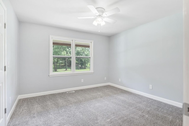 729 Fowler Ford Rd, Portland, TN 37148 - photo 31