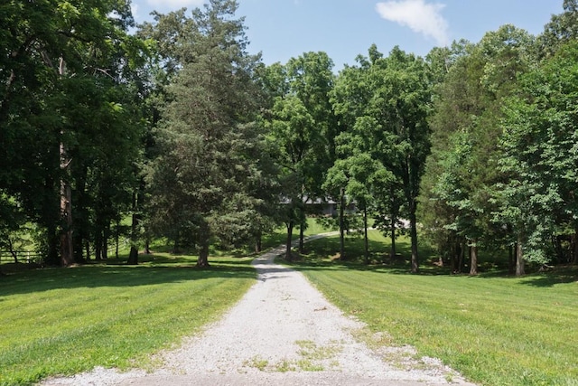729 Fowler Ford Rd, Portland, TN 37148 - photo 6