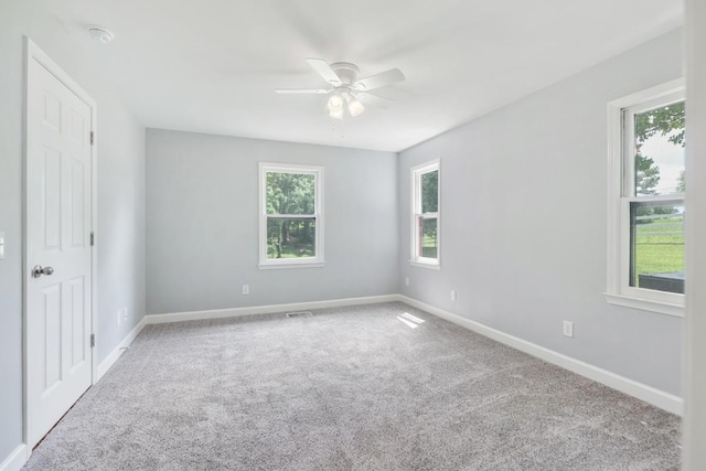 729 Fowler Ford Rd, Portland, TN 37148 - photo 27